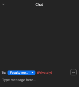 Chat Zoom window for computer