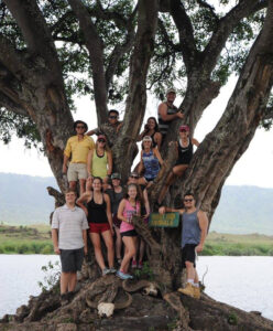 Students stand and sit in a tree in Tanzania