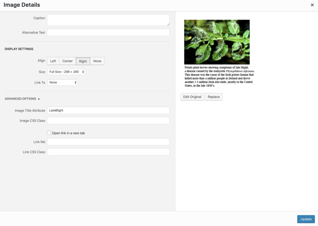 Image is missing Alt Text but has an Image Title Attribute example. 